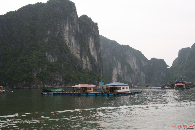 VietNam 20080727 126  